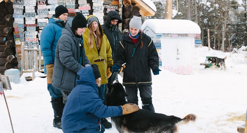 a group of people wearing winter gear pet a sled dog